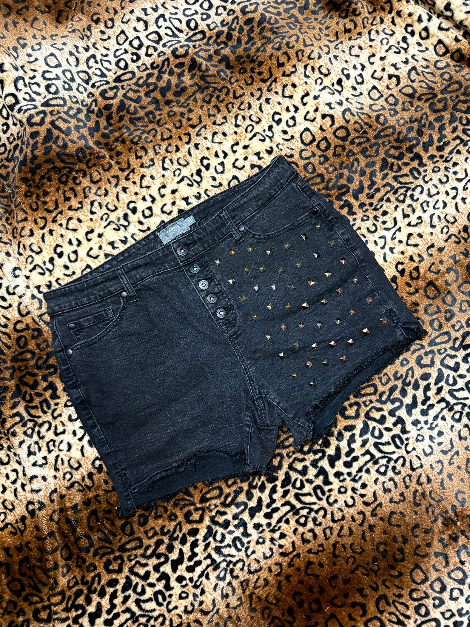 MothMan Studded Denim Shorts