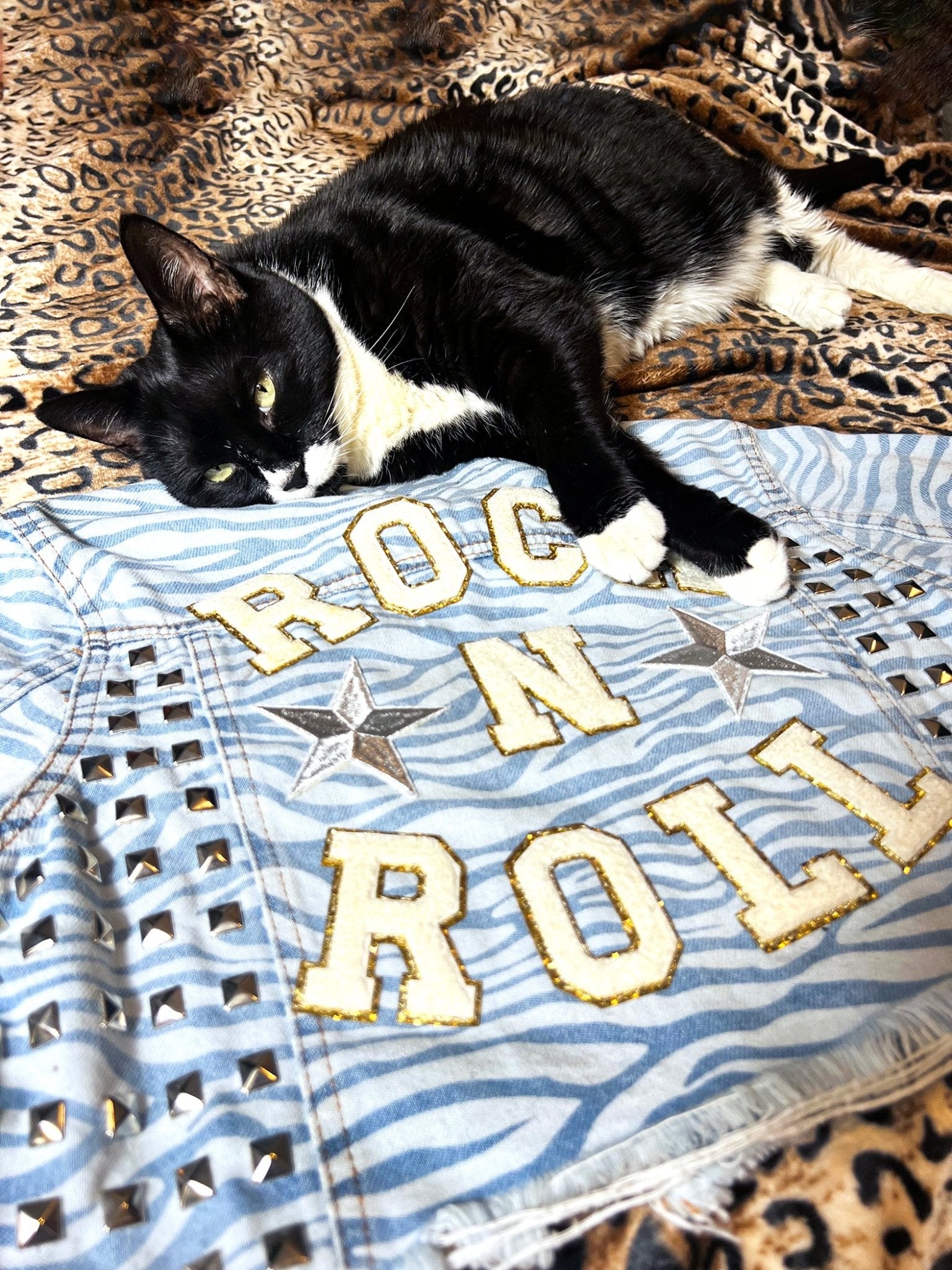 Rock N Roll Zebra Print Studded Crop Jacket | Bad Reputation NYC